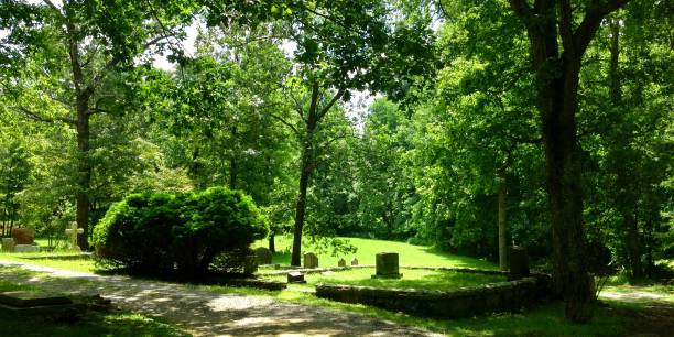 istock Confederate Cemetery In The Forest 1130767865