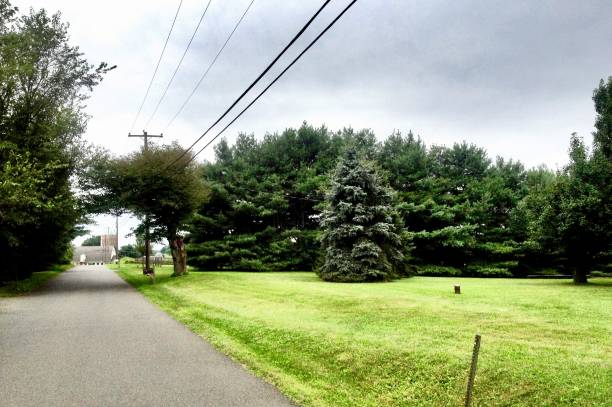 istock Country Road and cloudy sky 1130768488