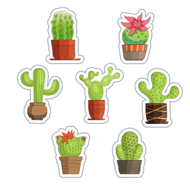 Cute succulent or cactus plant set. vector art illustration