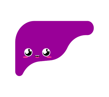 Hati Lucu Lucu Organ Internal Gaya Kartun Karakter Anakanak Anatomi