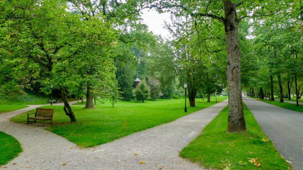 bellissimo parco nel cuore di baden-baden - baden baden green street fountain foto e immagini stock