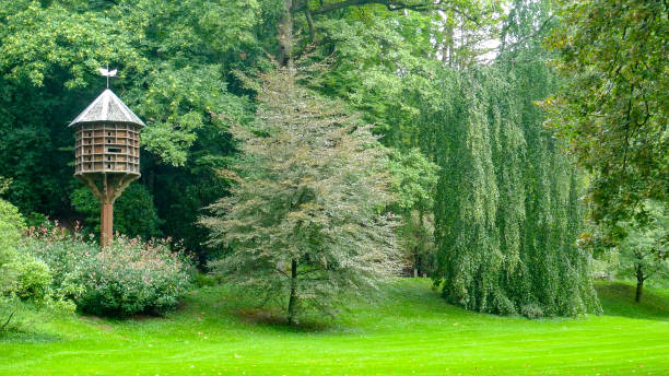 bellissimo parco nel cuore di baden-baden - baden baden green street fountain foto e immagini stock