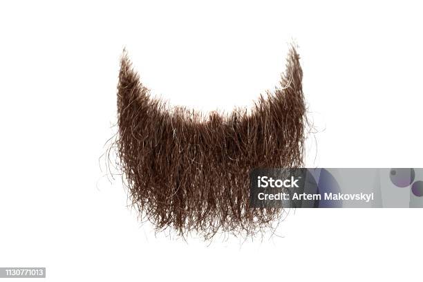 Disheveled Brown Beard Isolated On White Background Stock Photo - Download Image Now