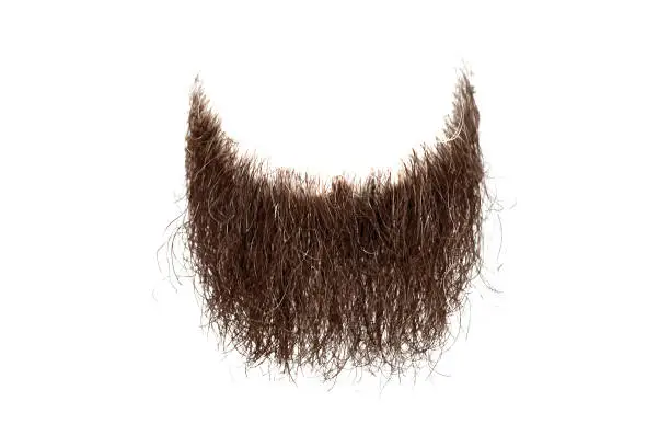 Photo of Disheveled brown beard isolated on white background