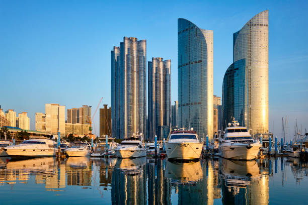 istock Busan marina with yachts on sunset, South Korea 1130771403