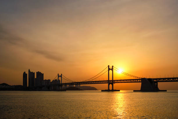 istock Gwangan Bridge on sunrise. Busan, South Korea 1130772314