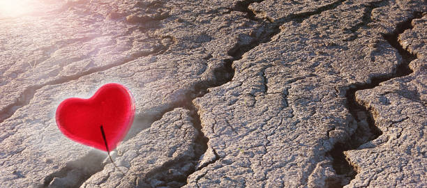 istock Dry earth, deep cracks, dead earth, environmental problem, catastrophe, heart, symbol. The concept of environmental protection. Selective focus, copy space. 1130772482