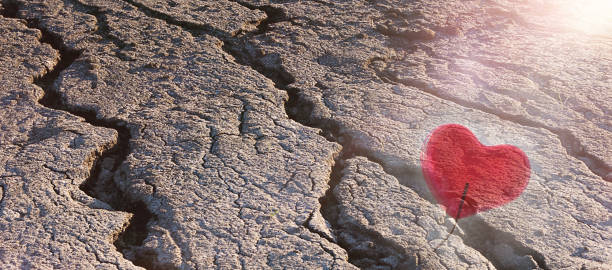 istock Dry earth, deep cracks, dead earth, environmental problem, catastrophe, heart, symbol. The concept of environmental protection. Selective focus, copy space. 1130772742