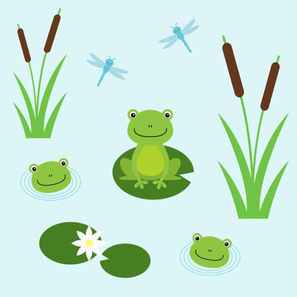 Tree frogs with lily and dragonflies. Illustration for children. Flat design style. Tree frogs with lily and dragonflies. Illustration for children. Flat design style. Kawaii animal frog illustrations stock illustrations