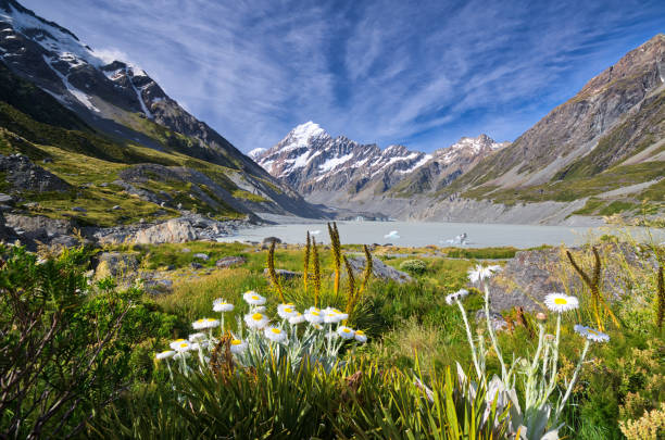istock Mt. Aoraki (Mt. Cook), New Zealand 1130774298