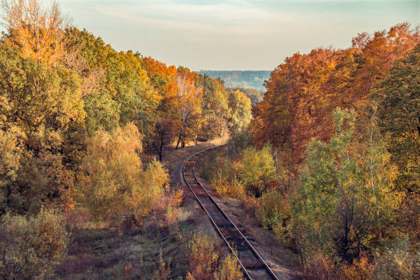 istock Railway and golden autumn trees 1130774506