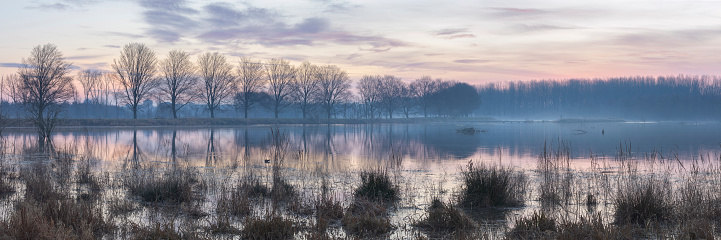 Early morning winter sunrise over wetland, marsh and lake. Row of trees Broekpolder, Vlaardingen