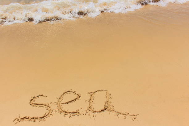 istock Sea written in the sand 1130778477