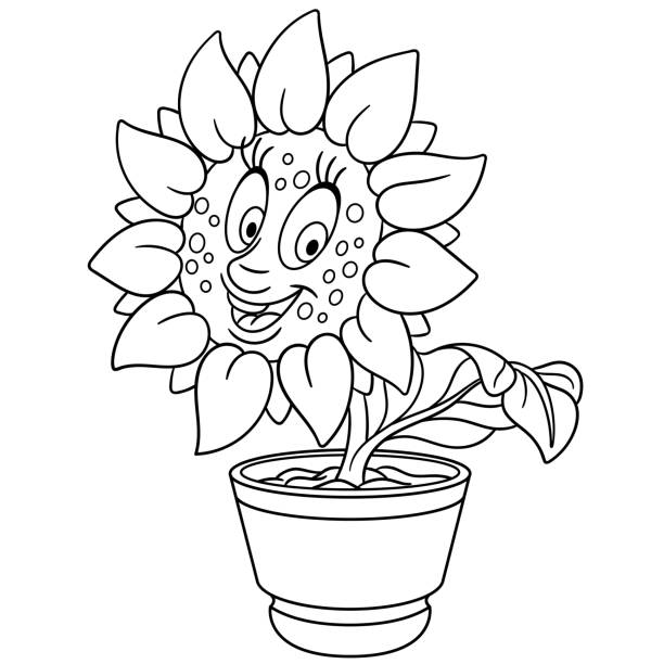 Coloring Page Of Cartoon Sunflower In A Pot Stock Illustration - Download Image Now - Flower, Black And White, Coloring Book Page - Illlustration Technique - iStock Coloring Page Of Cartoon Sunflower In A Pot Stock Illustration - Download Image Now - Flower, Black And White, Coloring Book Page - Illlustration Technique - iStock