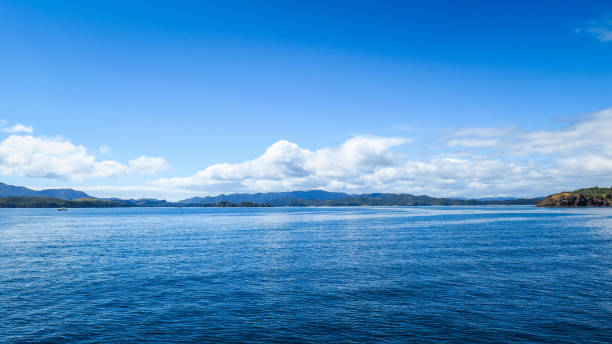 istock Bay of Islands in Paihia 1130782530