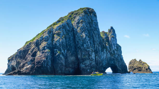 Bay of Islands in Paihia Cruising to the Hole in the Rock and with dolphins in New-Zealand bay of islands new zealand stock pictures, royalty-free photos & images