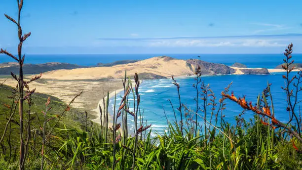 The top of the North Island in New-Zealand