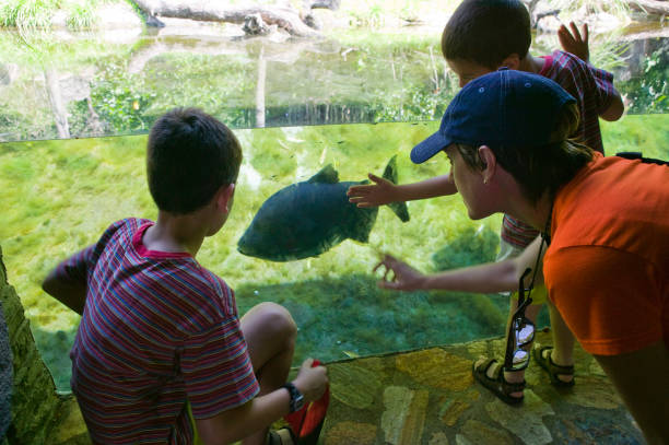 istock Mother with two sons looking at fish in aquarium 1130785220