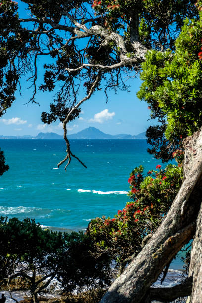 landscape scenery on waipu beach new zealand