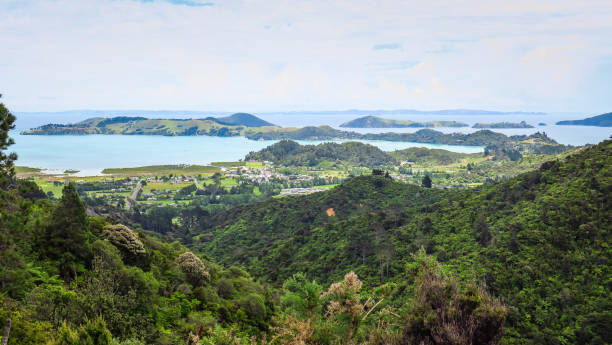 istock Exploring Coromandel Peninsula in New-Zealand 1130785789