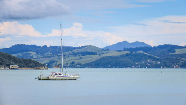 istock Exploring Coromandel Peninsula in New-Zealand 1130785791
