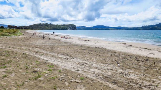 istock Exploring Coromandel Peninsula in New-Zealand 1130785807
