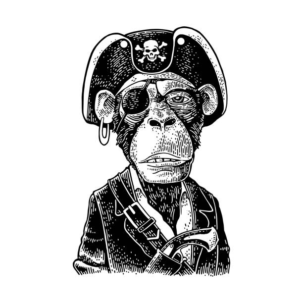 ilustraciones, imágenes clip art, dibujos animados e iconos de stock de mono pirata con pistola vestida con un sombrero de amartillado. grabado - tattoo gun