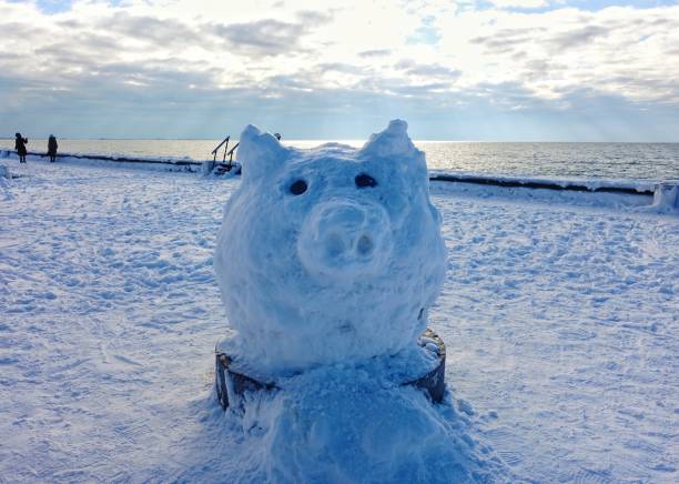 Snowman in the form of a pig.