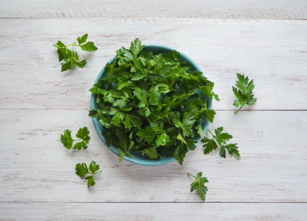 istock Parsley leaves flat lay. Fresh parsley on a plate. 1130790475