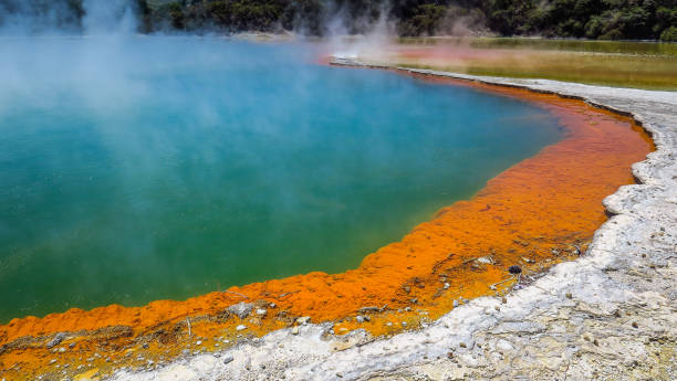 istock Rotorua Thermal Park and Wai-O-Tapu 1130792427