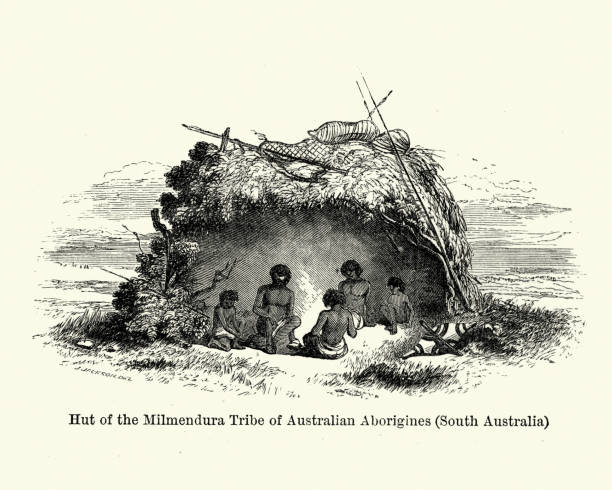 milmendura plemię australijskich aborygenów (australia południowa), 19 wieku - aboriginal stock illustrations