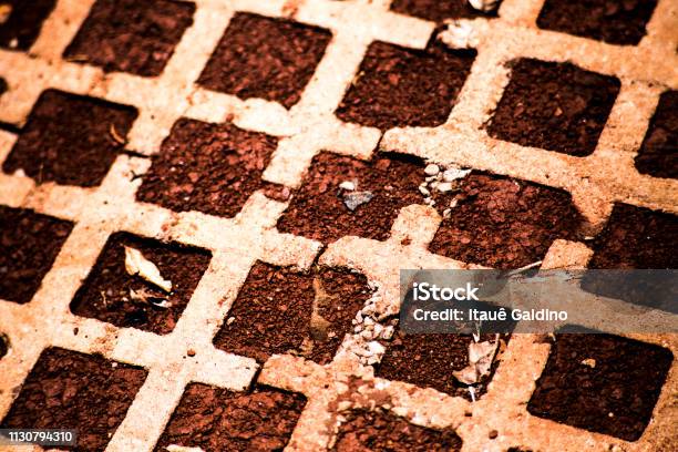 Earth Stock Photo - Download Image Now - Backgrounds, Brazil, Close-up