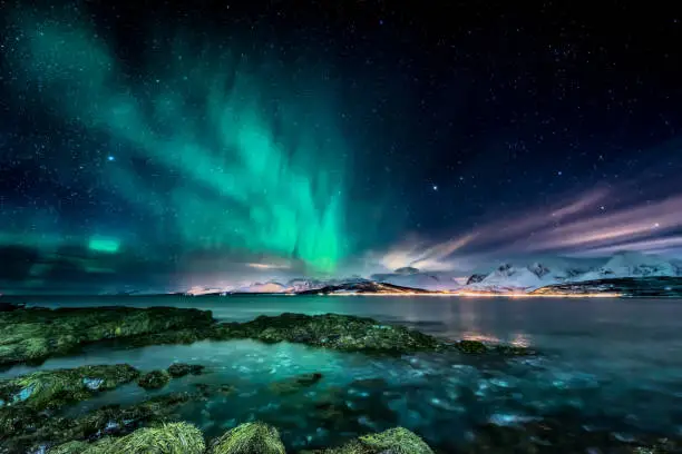 Photo of Amazing aurora borealis - northern lights - view from coast in Oldervik, near Tromso city -  north Norway