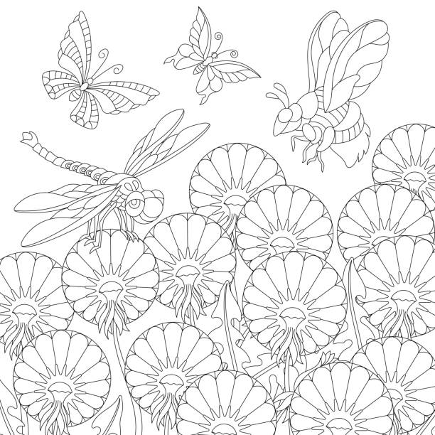 ilustrações de stock, clip art, desenhos animados e ícones de spring coloring page of insects and dandelion flowers - summer backgrounds line art butterfly