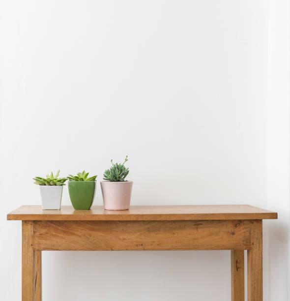 istock Three succulent plants in pots on wooden table 1130799115