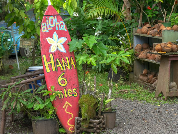 une vieille planche de surf sur un stand sur la route de hana - hawaii islands maui hana road photos et images de collection