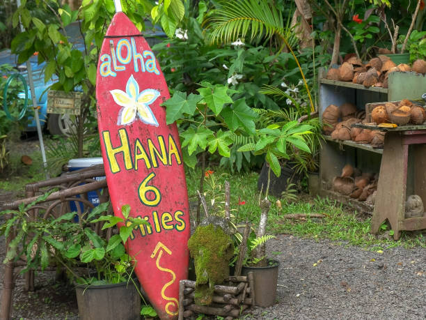 도로에 있는 길가 스탠드에 있는 오래 된 서핑 보드 - hawaii islands maui hana road 뉴스 사진 이미지