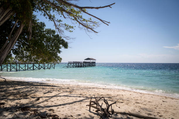 istock Island of Sipadan 1130802841