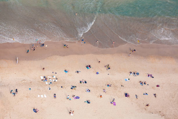 istock Looking down on people on the beach - aerial view 1130803865