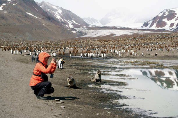 istock Women view penguins in South Georgia 1130804675