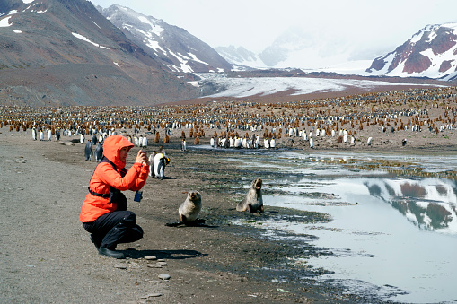 Women view penguins in South Georgia