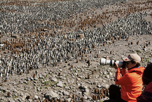 Women view penguins in South Georgia