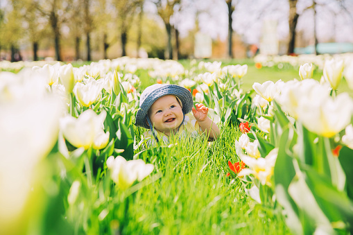 Happy smiling baby girl lying on blanket in green grass of tulips field. Child playing outdoors in spring park. Image of Mother's Day, Easter. Family on nature in Arboretum, Slovenia, Europe.