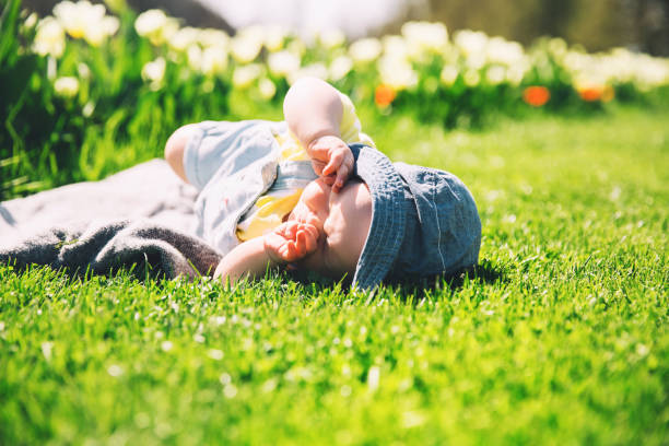 cute squinting in the sun baby girl lying in green grass of tulip field. - quintuplet imagens e fotografias de stock
