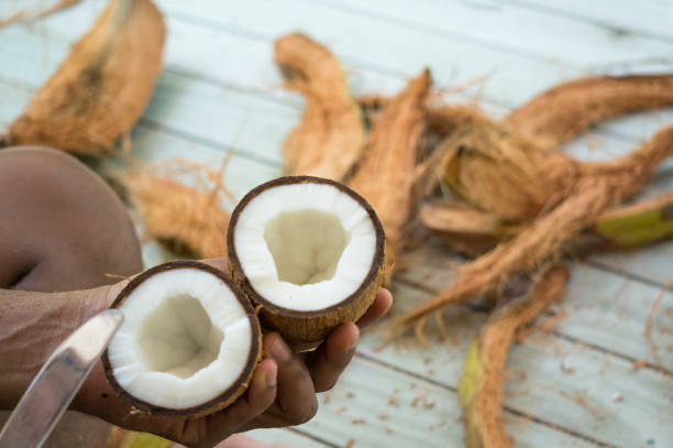 istock Halved inner coconut in asian man's hands 1130808400