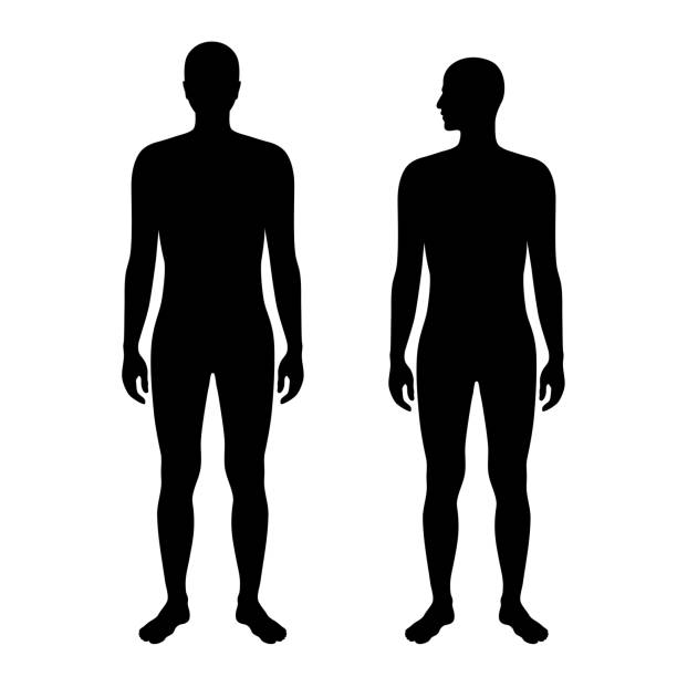 frau und mann silhouette - naked women human leg body stock-grafiken, -clipart, -cartoons und -symbole