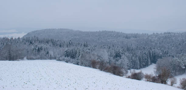 istock Winter landscape with snowy trees in Switzerland. 1130810383