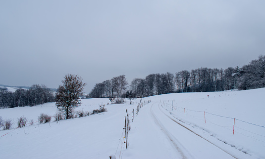 Fresh snow and winter landscape. Taken near Linn, Switzerland, in canton of Aargau.