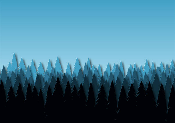 landschaft mit fichtenwald in der dämmerung. schneebäume in park oder wald. design im stil der papierkunst. vektor - snow wind overlay stock-grafiken, -clipart, -cartoons und -symbole