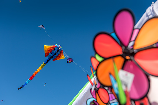 Multicolor kites flying in a sunny day in Miami Beach.